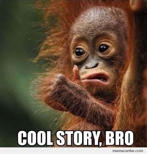 funny monkey memes|cool monkey meme.